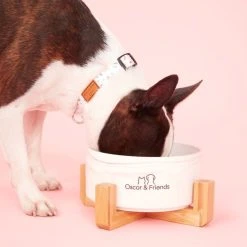 Oscar & Friends The Collar Medium Confetti Medium