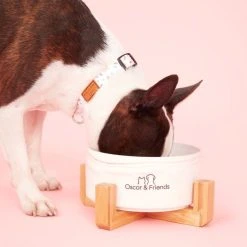 Oscar & Friends The Collar Large Confetti Large