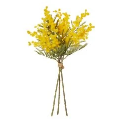 Rogue Wattle Bundle Yellow