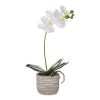 Rogue Butterfly Orchid Etched Pot 36 Cm White -Linen House Shop BP645016 nc