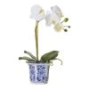 Rogue Butterfly Orchid In ChInoiserie Pot -Linen House Shop SP 609300