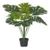 Rogue Monstera Plant In Garden Pot 2 Rogue Monstera Plant In Garden Pot -Linen House Shop SP 612107