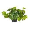 Rogue Pothos In Garden Pot -Linen House Shop SP 613772