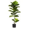 Rogue Giant Fiddle Plant 1 Rogue Giant Fiddle Plant -Linen House Shop SP 613776