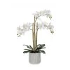 Rogue White Orchid In Ceramic Pot 2 Rogue White Orchid In Ceramic Pot -Linen House Shop SP 613854