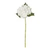 Rogue Hydrangea Stem White -Linen House Shop SP 617219