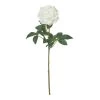 Rogue Peony Stem White -Linen House Shop SP 617235