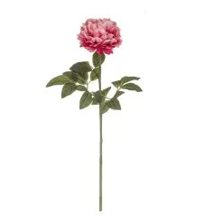 Rogue Peony Stem Dark Pink