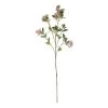 Rogue Seeding Spray Stem Pink -Linen House Shop SP 617241