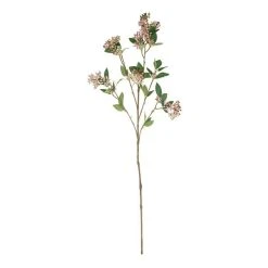 Rogue Seeding Spray Stem Pink
