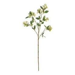 Rogue Seeding Spray Stem Green
