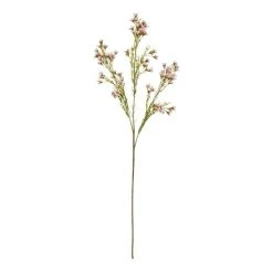 Rogue Wax Flower Stem Pink