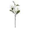 Rogue Chinese Magnolia Spray White 25 X15 X 51cm -Linen House Shop SP 632457