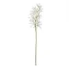 Rogue Oncidium Orchid Spray White 82 Cm -Linen House Shop SP 632461