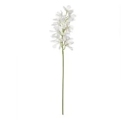 Rogue Oncidium Orchid Spray White 82 Cm