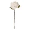 Rogue Hydrangea Stem Dusty Ivory 26 X 23 X 66cm -Linen House Shop SP 632467