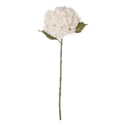 Rogue Hydrangea Stem Dusty Ivory 26 X 23 X 66cm