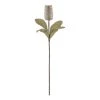 Rogue Banksia Stem White 74cm -Linen House Shop SP 632471