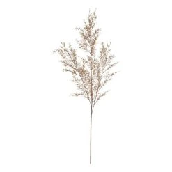 Rogue Tea Leaf Spray Coral 97 Cm