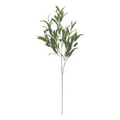 Rogue Olive Spray Dark Green 30 X 20 X 73 Cm