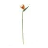 Rogue Bird Of Paradise Stem Orange 25 X 10 X 100 Cm -Linen House Shop SP 632495