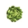 Rogue Artichoke Head 13cm Green -Linen House Shop SP 632509