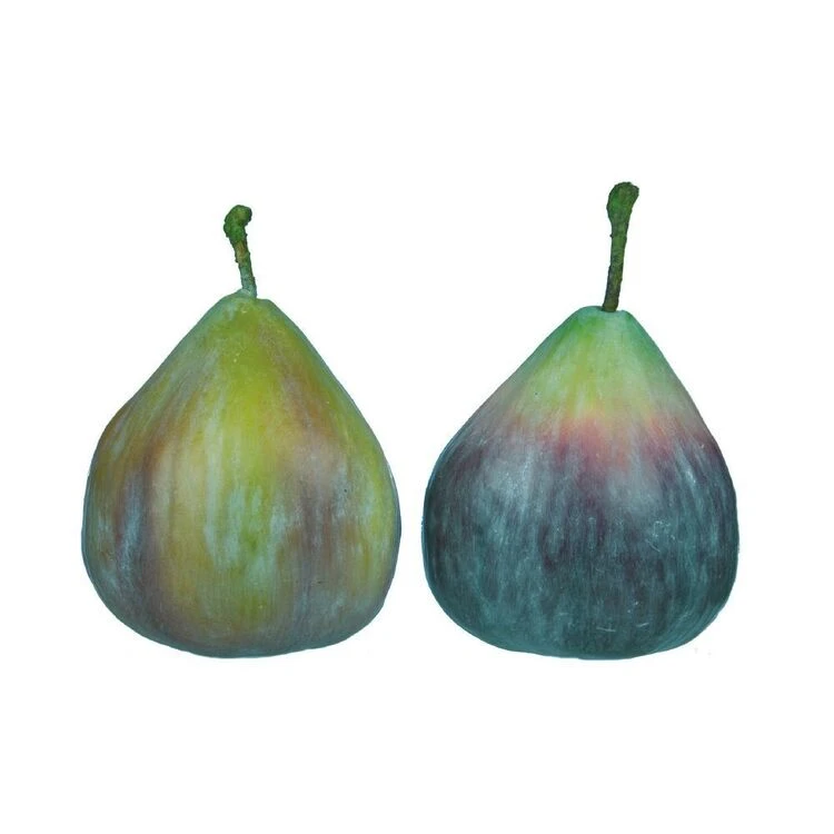 Rogue Fig Purple 3 Rogue Fig Purple