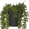 Rogue String Of Pearls Pot 14x23cm -Linen House Shop SP 632517 2