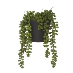 Rogue String Of Pearls Pot 14x23cm -Linen House Shop SP 632517