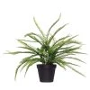 Rogue Boston Fern Garden Pot Green 50 X 50 X 53 Cm 2 Rogue Boston Fern Garden Pot Green 50 X 50 X 53 Cm -Linen House Shop SP 632523