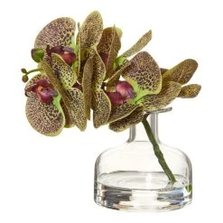 Rogue Phalaenopsis Vase 19cm