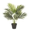 Rogue Areca Palm Pot 50x55cm -Linen House Shop SP 632546