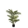 Rogue Cane Palm 80x60x90cm -Linen House Shop SP 632566