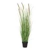 Rogue Pond Grass-Garden Pot Green 99 Cm -Linen House Shop SP 632572