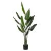 Rogue Bird Of Paradise Pot 140cm -Linen House Shop SP 632576