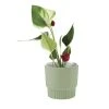 Linen House 10cm Planter Pot Rivera Mint -Linen House Shop SP 638454