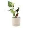 Linen House 10cm Planter Pot Rivera Taupe