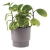Linen House 13cm Planter Pot Rivera Violet 2 Linen House 13cm Planter Pot Rivera Violet -Linen House Shop SP 638458