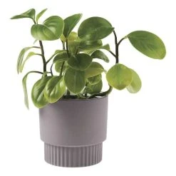 Linen House 13cm Planter Pot Rivera Violet