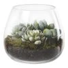 Rogue Lotus Echeveria Garden Vase 20 X 20 X 18 Cm -Linen House Shop SP 639253