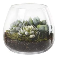Rogue Lotus Echeveria Garden Vase 20 X 20 X 18 Cm