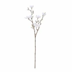 Rogue Magnolia Spray 26 X 26 X 66 Cm White