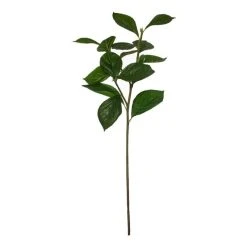 Rogue Hydrangea Leaf Spray 30 X 30 X 81 Cm Green