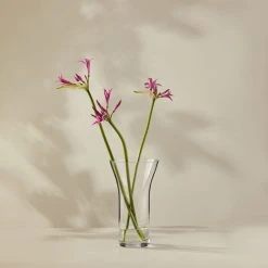 Front Page 22 Casa Domani Moda Flared Vase 25cm Gift Boxed